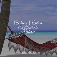 Sonidos Aromáticos - Meditar Profundamente & Academia de Relaxamento e Meditação & Piano Suave Relajante