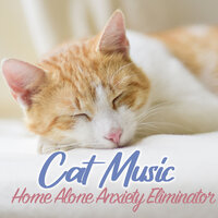 Anti Aggression Track - Relax My Cat & Cat Music Dreams & RelaxMyCat