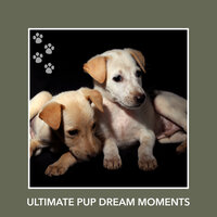 The Purest Desire - Relaxing Dog Music