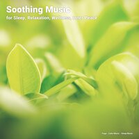 Relaxing Music for a Romantic Atmosphere - Yoga & Calm music & Sleep Music