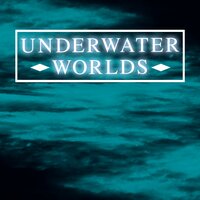 Blue Waters - Hannes Treiber & Wesley Plass