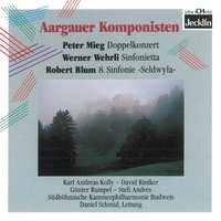 Doppelkonzert für Klavier, Violoncello und Orchester: II. Adagio - David Riniker & Karl-Andreas Kolly & Daniel Schmid & Südböhmische Kammerphilharmonie Budweis & Südböhmische Kammerphilharmonie Budweis, Daniel Schmid, Karl-Andreas Kolly, David Riniker