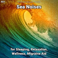 Sea Noises Pt. 49 - Sea Waves Sounds & Nature Sounds & Ocean Sounds