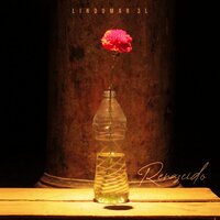 A Vida Continua - Lindomar 3L & Crônica Mendes