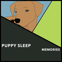Mellow Connection - Dogs Music Therapy & Dog's Music & Zen Dog