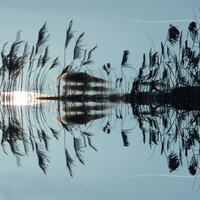 Chill Waves - Study Music Academy