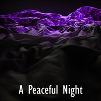 Reverberating Mind - Night Warmers