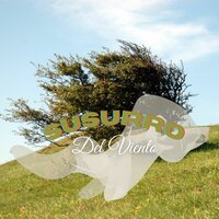 Sonidos de amor y solidaridad infinita - Musica para tener la habitación en paz