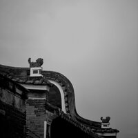 花心 - 赵筝