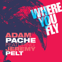 Isn't This My Sound Around Me? - Adam Pache & Jeremy Pelt