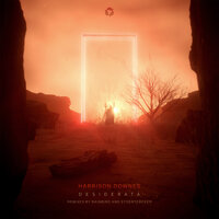 Desiderata - Harrison Downes