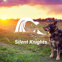 Meditation for Dogs - Silent Knights & Dylan Barnes & Robert Davy & Mark Dowling