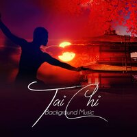 Taiji - Life Harmony Masters