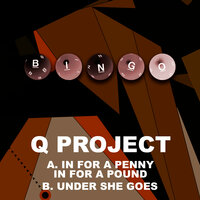 In for a Penny in for a Pound - Q Project