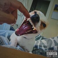 Please Don't - C Plus