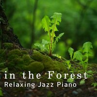 Hiding In The Forest - Teres
