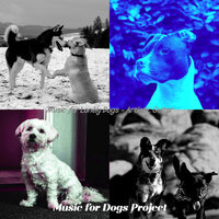 Funky Backdrops for Separation Anxiety - Music for Dogs Project