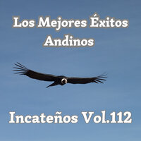 Nu Te Pot Uita - Los Incateños & Julio Miguel