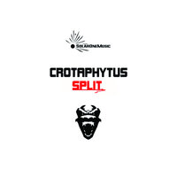 Y3 feat. The Exaltics - Crotaphytus & The Exaltics