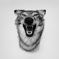 Sky’s The Limit - Yelawolf