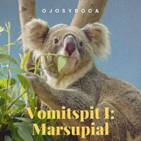 Despegue y Aterrizaje Instrumental - Ojosyboca