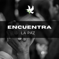 Tranquilidad profunda - Relajación esencial & Paz Interior & Calma diaria