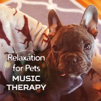 Relax: Home Alone - Pet Music Academy