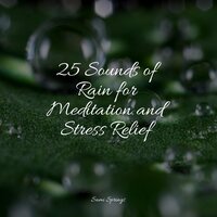 Medium Fire Crackling - Ambient Forest & Native American Flute & Sons da Natureza Relax