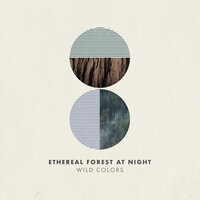 Ethereal Forest at Night (Nature) - Wild Colors