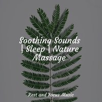 Soothing Melodious - Massage Music & Baby Sweet Dream & Tranquility Spa Universe