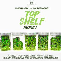 Shelf Top - Sean Taylor & The Expanders & Walshy Fire
