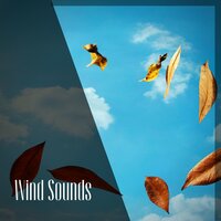 Wind Sounds #11 - Wind Noise & Sleep