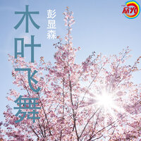 骑行之旅 - 彭显森