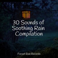 Rain, Thunder, Evening - Elements of Nature & Sons da Natureza & Rainfall For Sleep