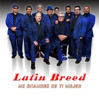 Me Enamore de Ti Mujer - Latin Breed