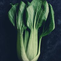 Чувство (Готовка) - Оживленный Музыка для кулинарии