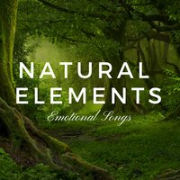 Massage Music - Natural Element