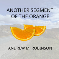 Triple Ko - Andrew M. Robinson