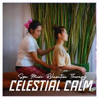 Reflective Resonance - Spa Music Relaxation Therapy