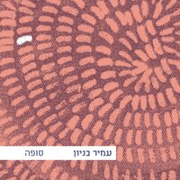 אם לא הייתי בא עכשיו - Amir Benayoun