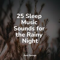 Rain Out Back - Entspannungsmusik Oase & Happy Baby Lullaby Collection & Relaxing Music Therapy