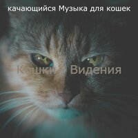 Созерцая (Кошки) - качающийся Музыка для кошек