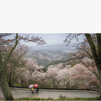 Classic Jazz Saxophone - Vibe for Staying Fresh - Saturday Morning Jazz Playlist