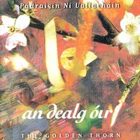 Marbhna Airt Óig Uí Néill - Pádraigín Ní Uallacháin