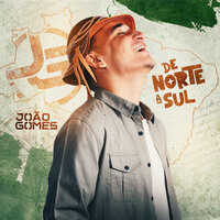 Laçou o Vaqueiro - João Gomes