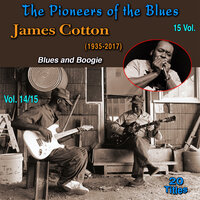 Got My Mojo Workin' - James Cotton