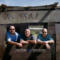 Valsa da lua - Bonsai