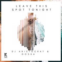 Leave This Spot Tonight - DJ Aristocrat & GOSHA