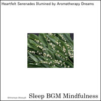 Whispers of Ambient Waves Bring Calm to an Anxious Mind - Sleep BGM Mindfulness