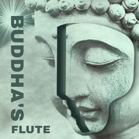 Mindfulness Meditation - Jane Peace